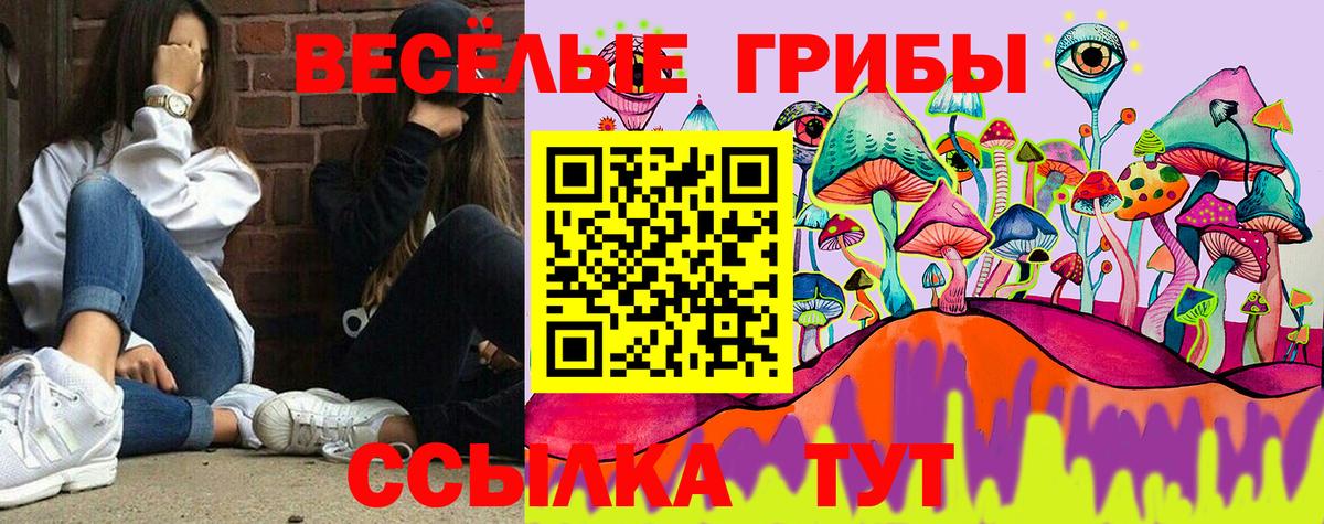 Псилоцибиновые грибы мухоморы Саранск